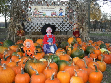 pumpkin picking