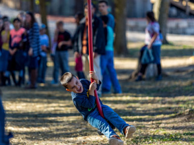 pumpkin patch near me