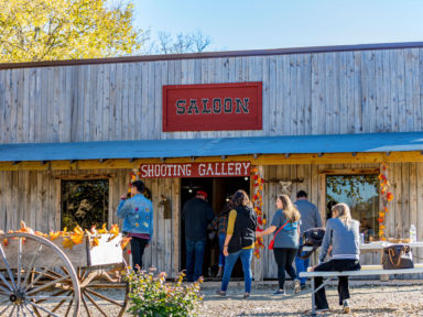 pumpkin patch nearby