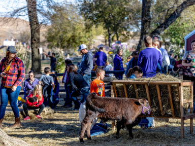 fall festivals near me