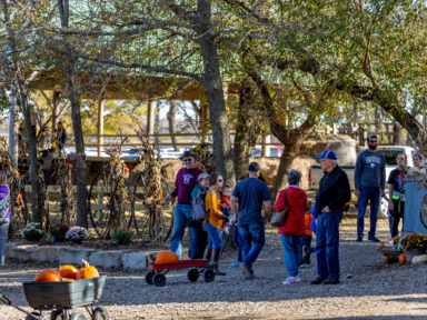 pumpkin patch near me