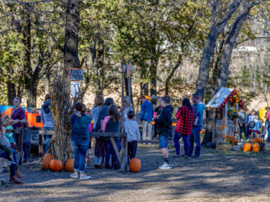 fall festivals near me