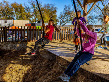 fall festivals near me