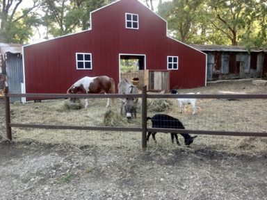 fall festivals near me